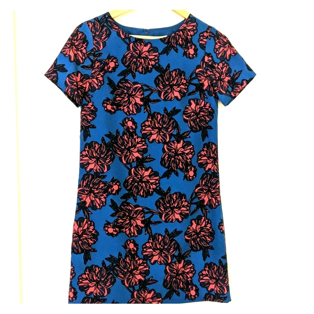 JCrew 00Petite Dresss